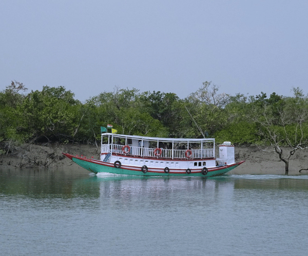 3 Days Sundarban Tour
