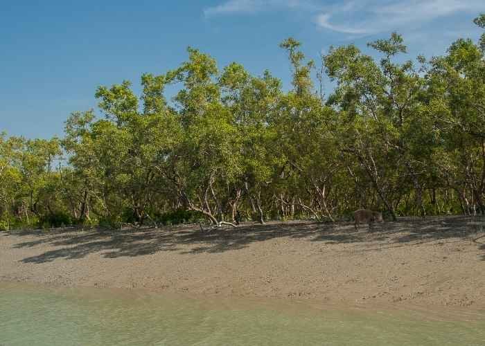 Sundarban National Park